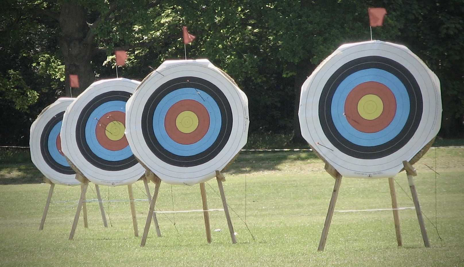 Target setup. Мишень разноцветная. Мишень fita. Яркие мишени. Мишень светофор.